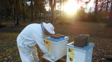 The Secret Lives of Beekeepers